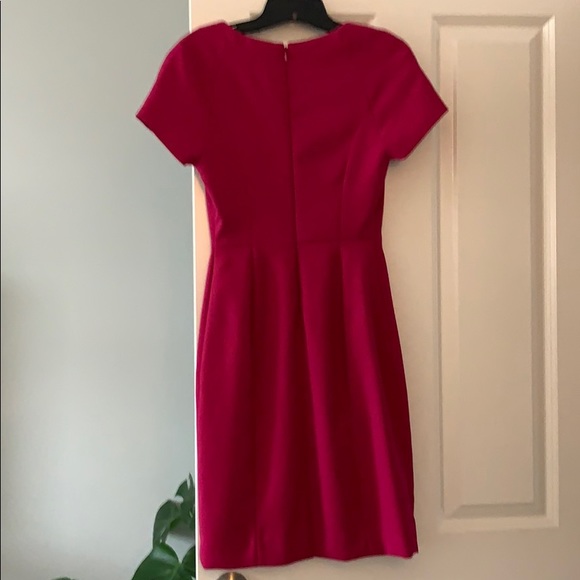 The Limited Raspberry size 2 dress - Picture 3 of 3